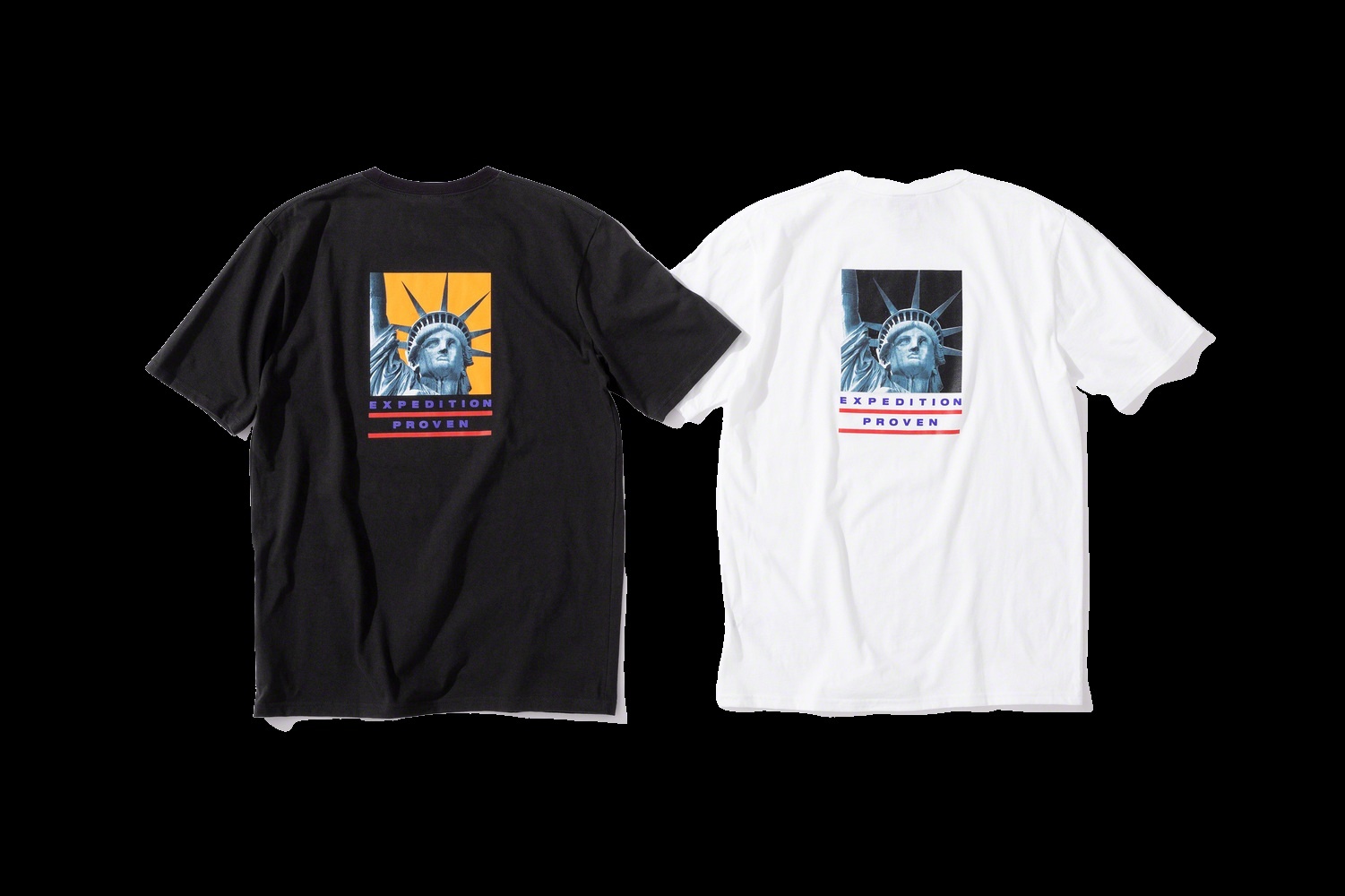 Supreme®/The North Face® Statue of Liberty Tee view 2